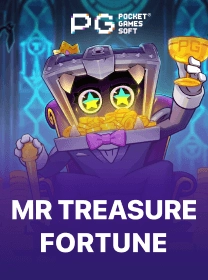 Mr Treasure Fortune